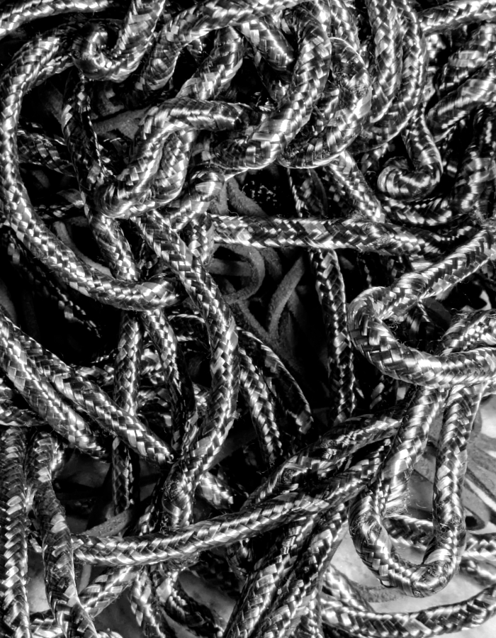 atelier a la muraz : le mental negatif (suite).