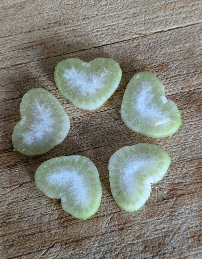 meditation de fevrier