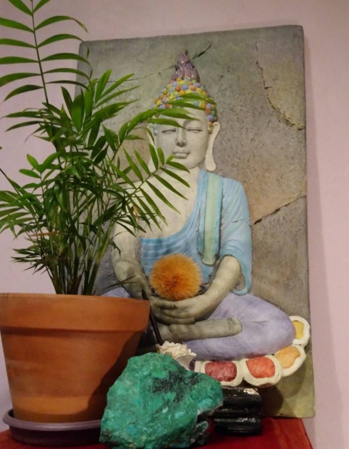 Meditation mensuelle: mars.